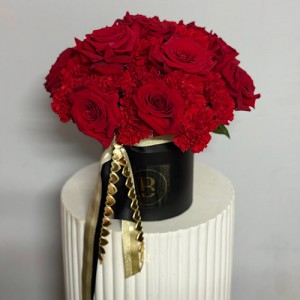 Impressive Impressive