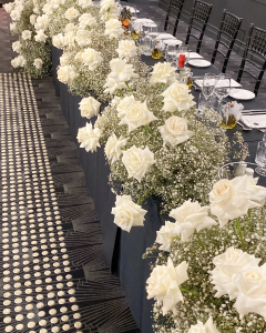 Roses