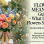 FLOWER MEANINGS Guide – What Different Flowers Symbolise