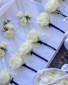 Garden Roses