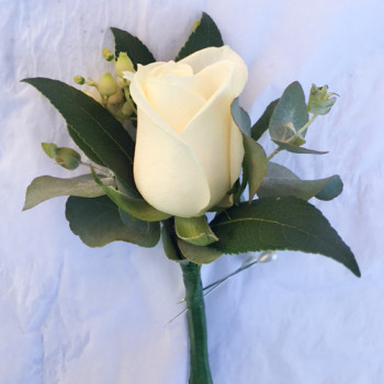 Buttonhole Rose & Lush Green foilage