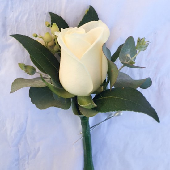 Buttonhole Rose & Lush Green foilage 