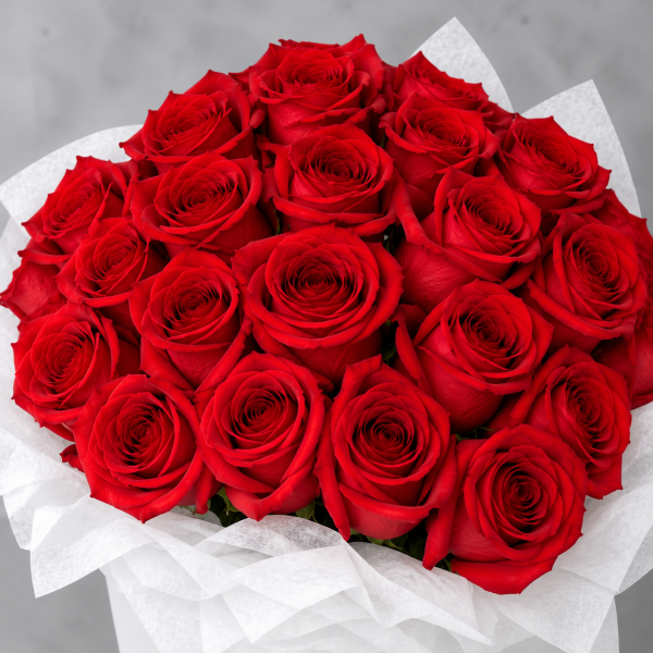 Gifted Blessings Collection - Red Roses
